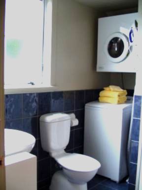 Bathroom and laundry facilities in one bedroom apartment