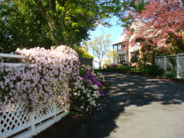 Driveway entry to Heriot Lane City Apartaments Dunedin, leg in section