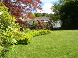 Grass area near our central Dunedin apartments