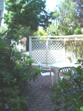 Private courtyard of a 3 bedroom apartment, Dunedin