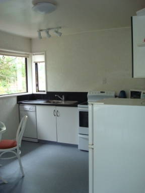 Fully equipped kitchen including dishwasher, oven, fridge with freezer, microwave